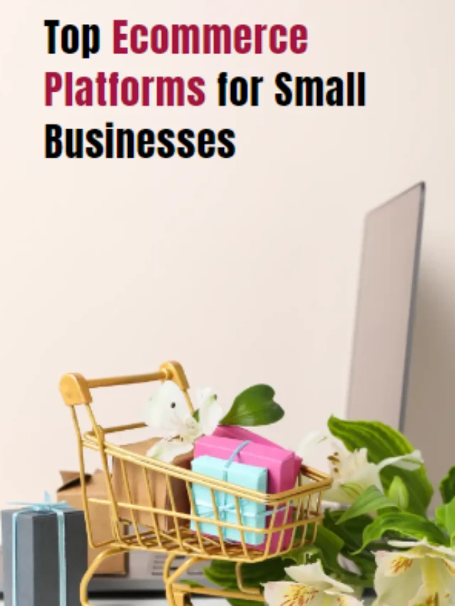 Best Ecommerce Platforms for Small Businesses