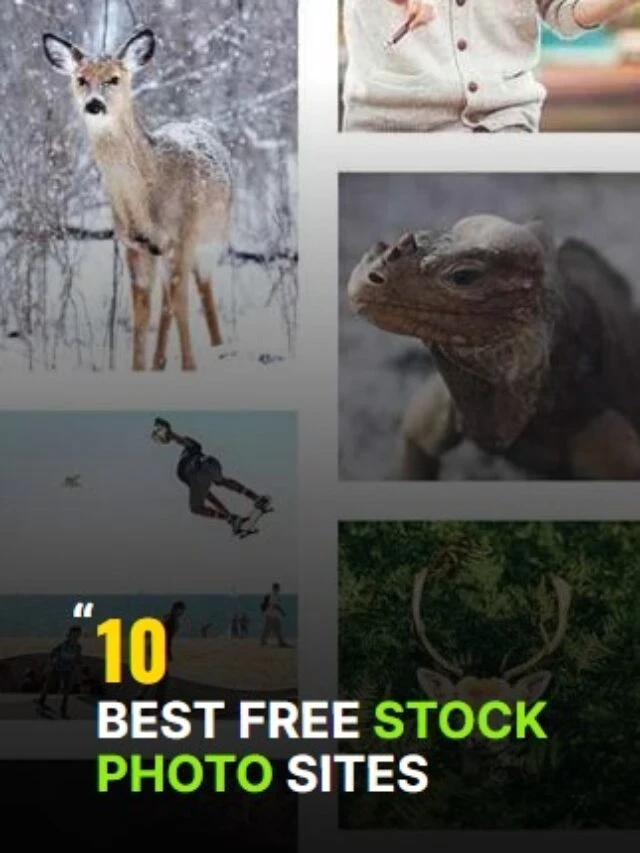 Best Free Stock Photo Sites
