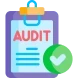 Audit Image
