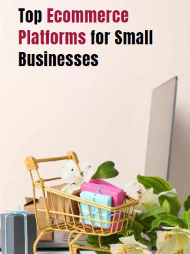 Best Ecommerce Platforms for Small Businesses