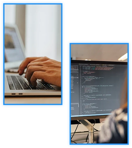 Hire Expert Wordpress Developers and Designers