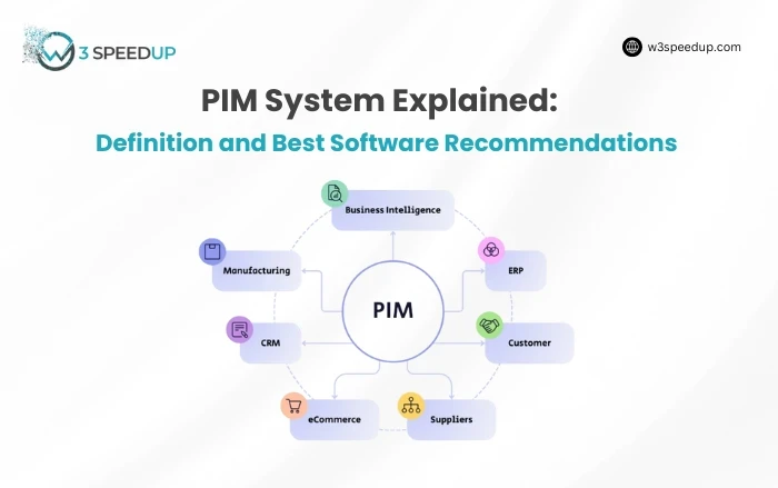 PIM System Explained