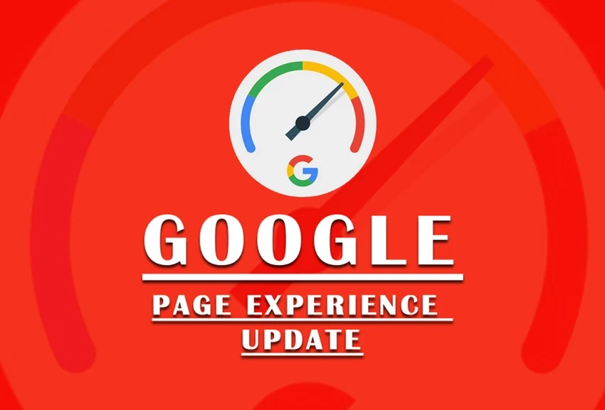 new google update