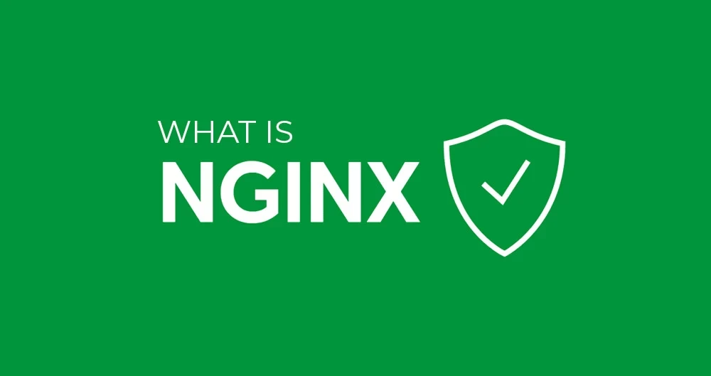 WHAT IS NGINX?