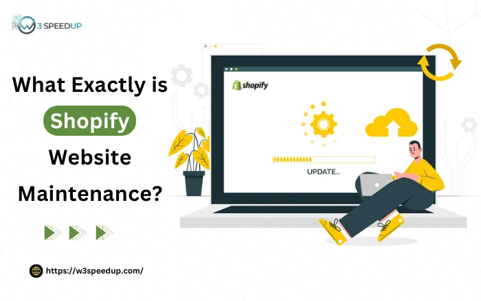 What exactly is Shopify website maintenance