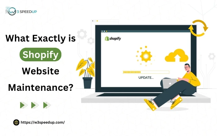 What exactly is Shopify website maintenance